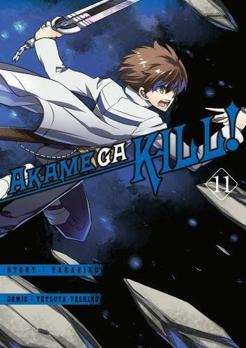 Akame ga kill #11.jpg