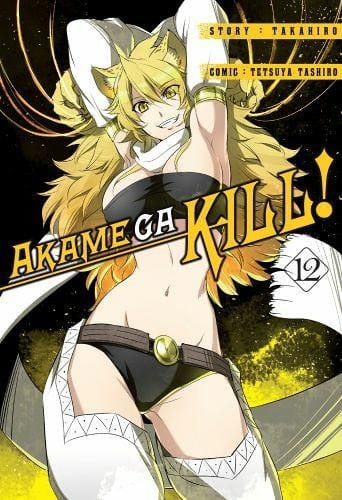 Akame ga kill #12.jpg
