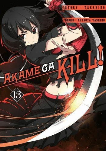 Akame ga kill #13.jpg